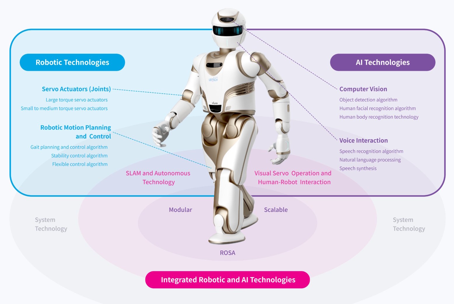 What kinds of PAI dev kits are available for humanoid robotics?